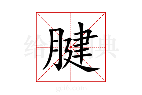 腱
