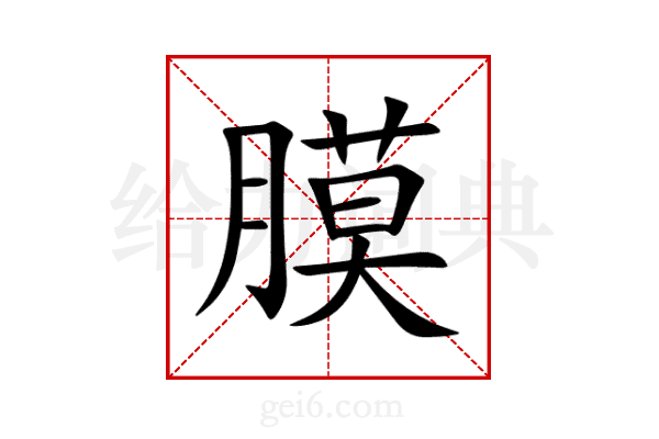 膜