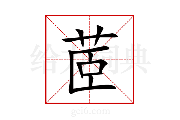 茝