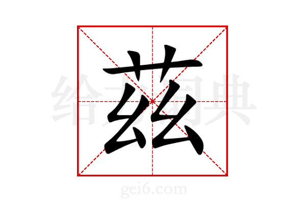 茲