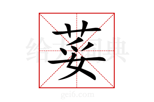荽