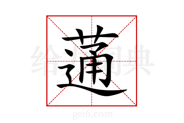 蓪