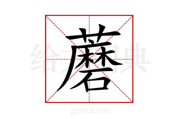 蘑