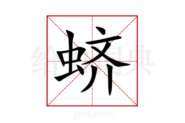 蛴