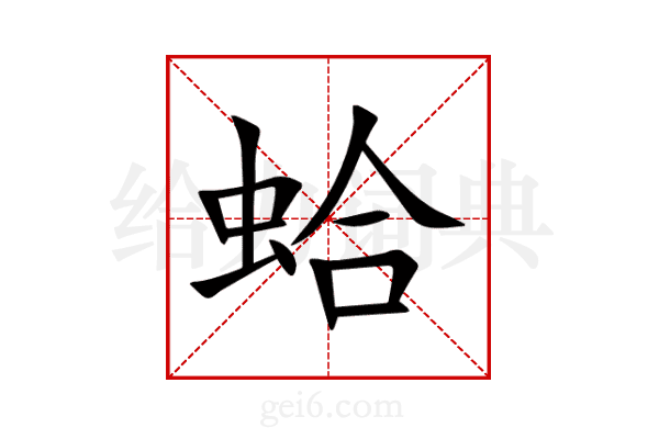 蛤