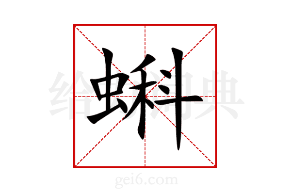 蝌