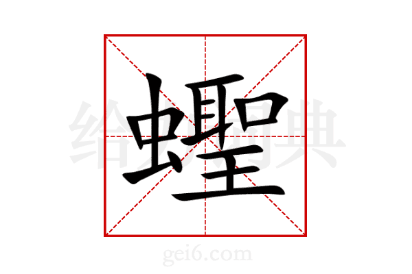蟶
