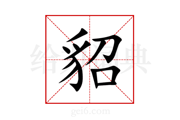 貂