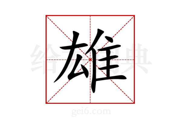雄