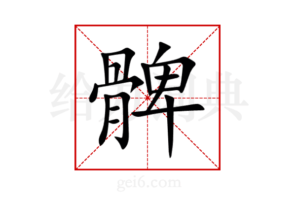 髀