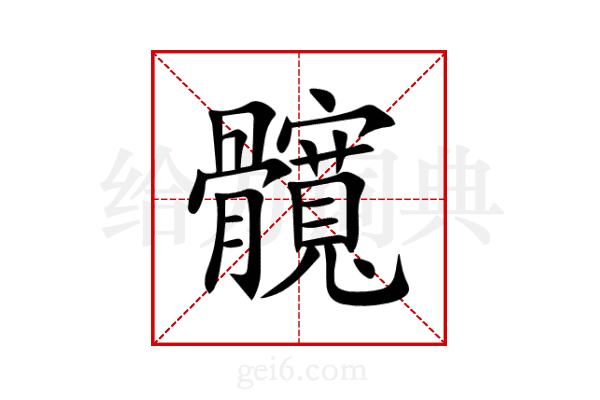 髖