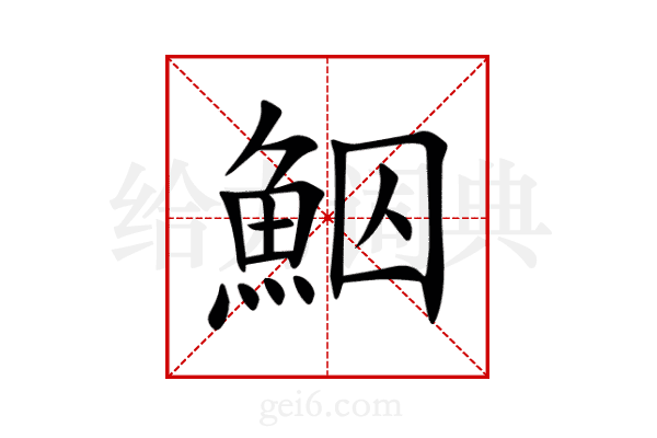 鮂