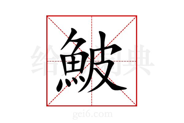 鮍