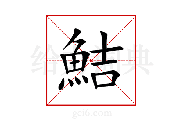 鮚