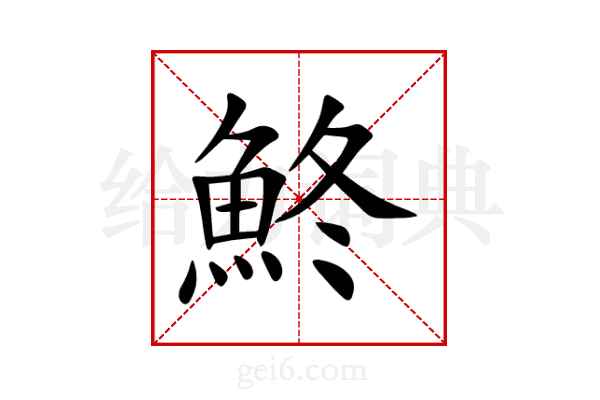 鮗