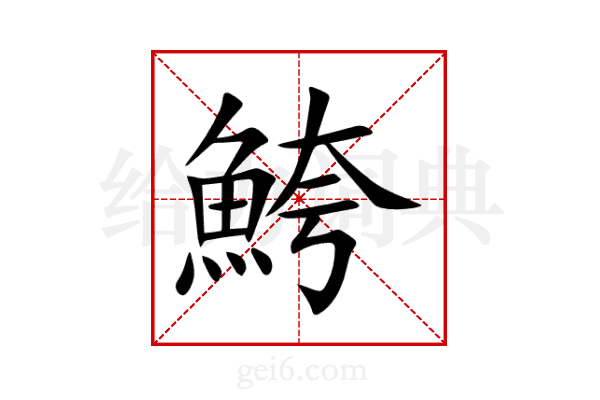 鮬