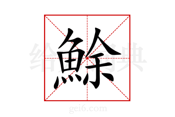 鮽