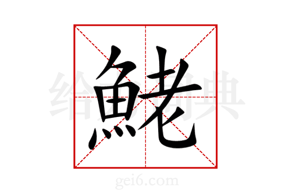 鮱