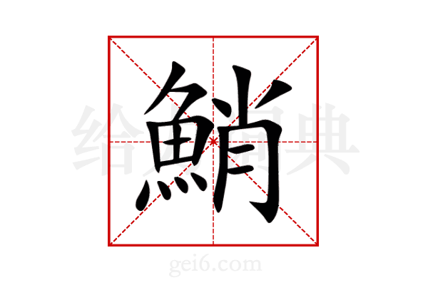 鮹