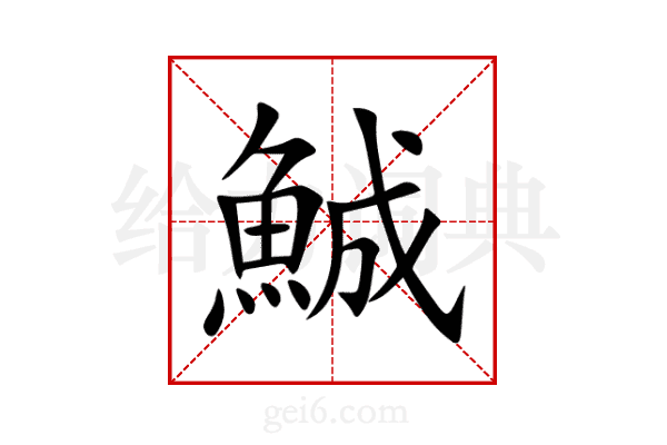 鯎