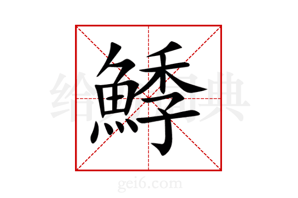 鯚