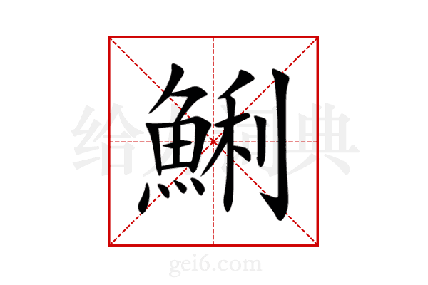 鯏