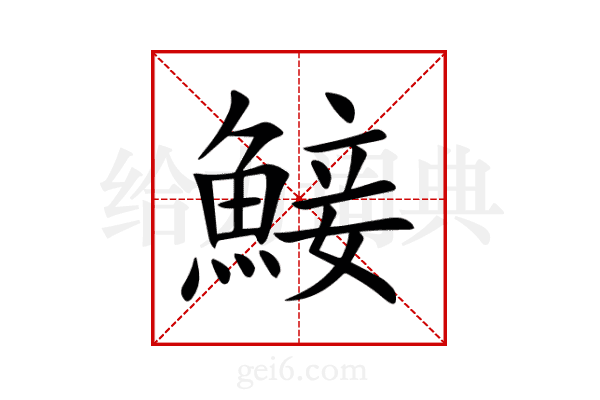 鯜