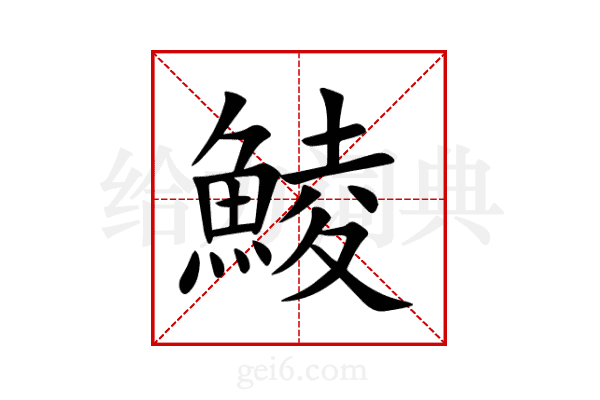 鯪