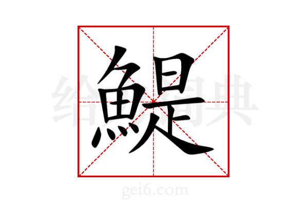 鯷