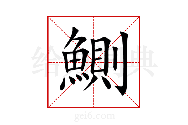 鰂