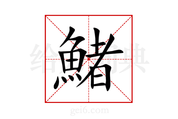 鯺