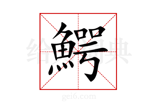 鰐