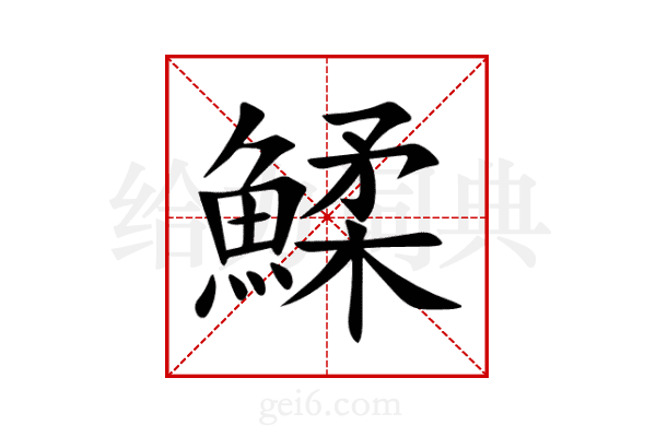 鰇