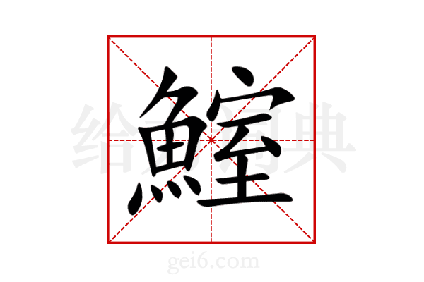 鰘
