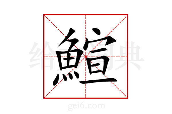 鰚