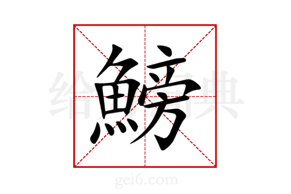 鰟