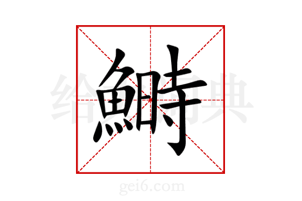 鰣