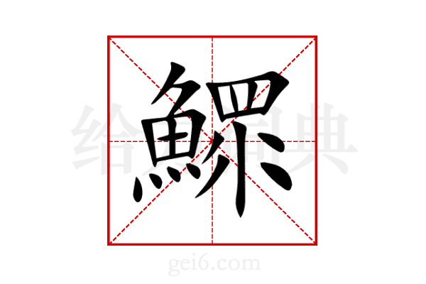 鰥