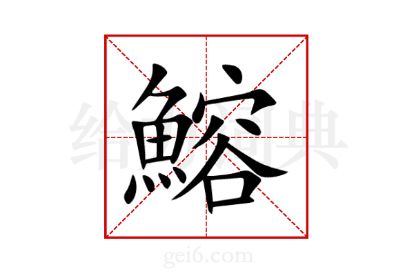 鰫