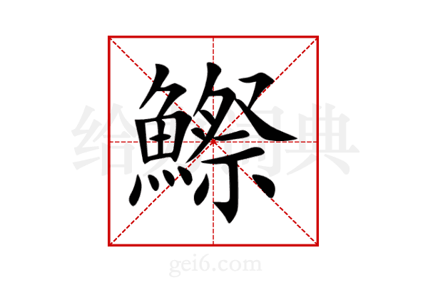 鰶