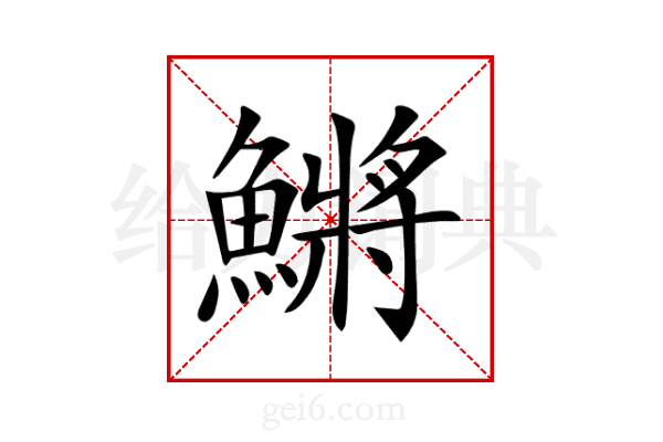 鱂