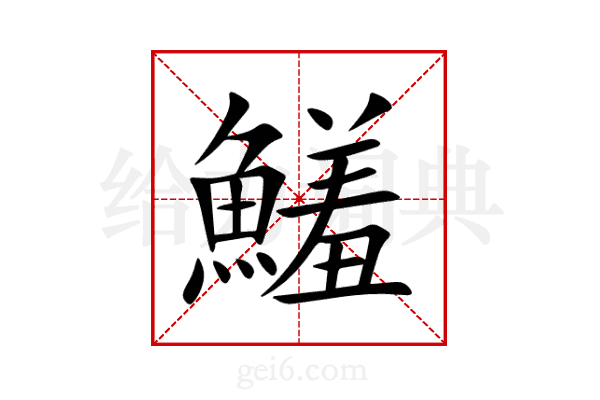鱃