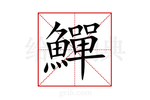 鱓