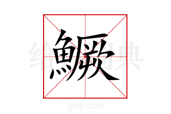 鱖