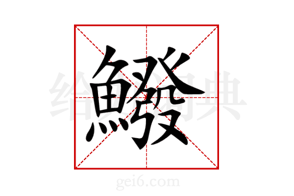 鱍