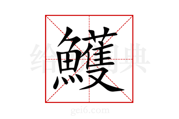 鱯