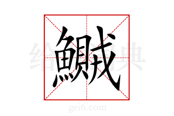鱡