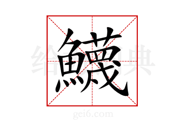 鱴