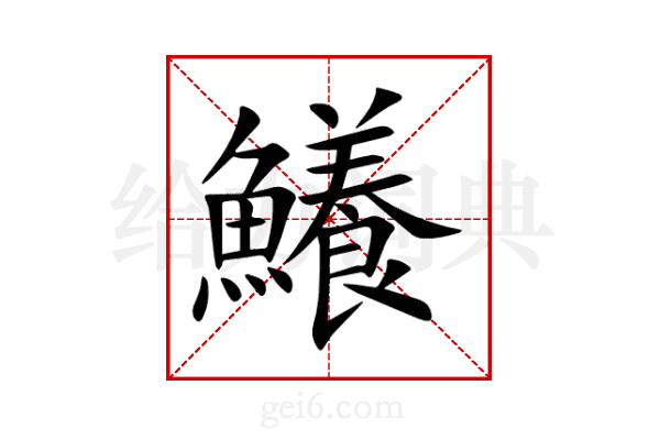 鱶