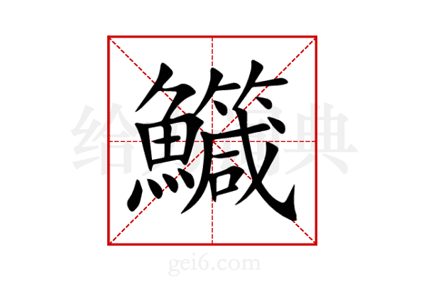 鱵